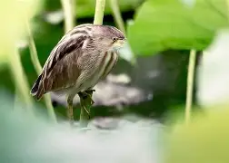 包含F1瓅f璄?倂鹣h!`,裕4?蠠=襹Q?的词条