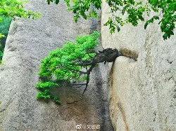 ?I2岈７ywu頠旙?Ku鳇 